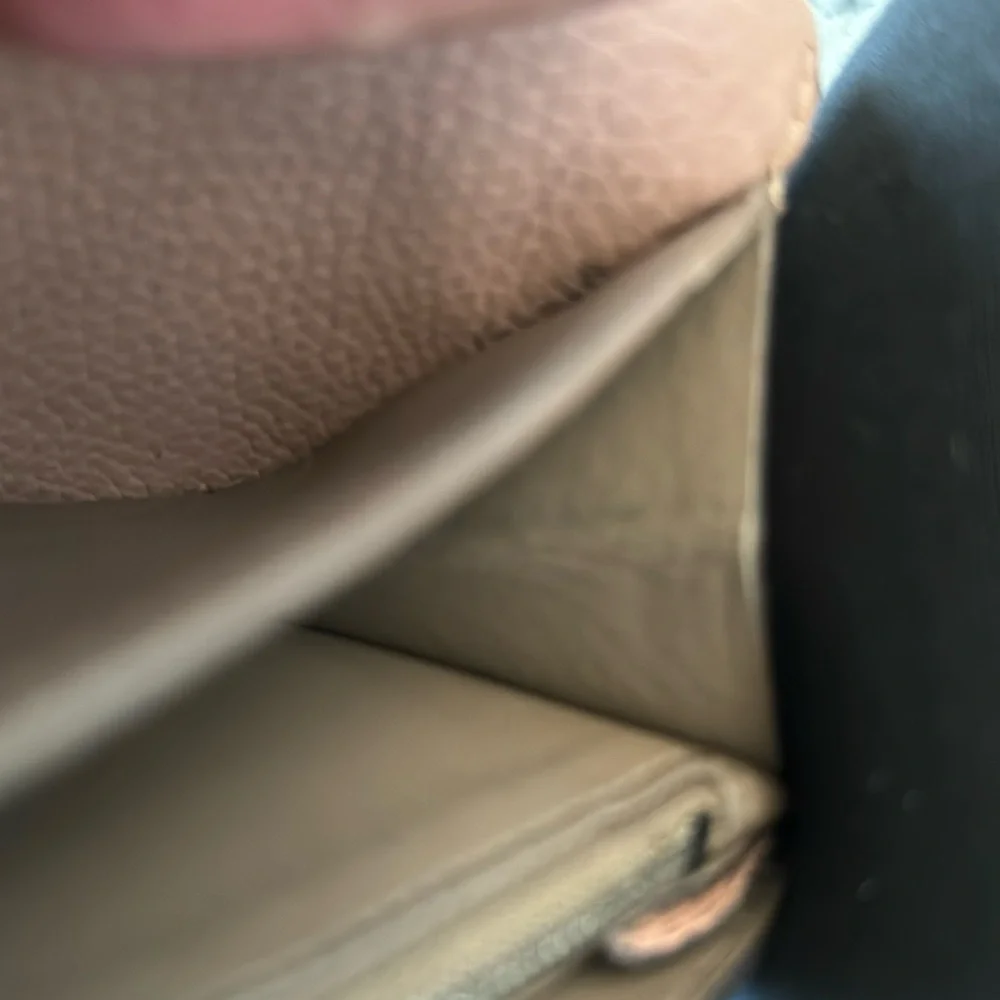 Louis Vuitton Taurillon leather Capucines LV signature wallet